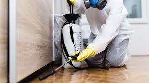 Professional Pest Control in Little Falls, NY